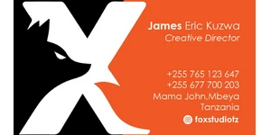 James Kuzwa Designer