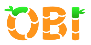OBI Services
