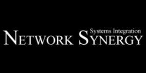 Network Synergy