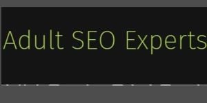 Adult SEO Experts ORG