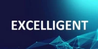 ExcelligentSolutions