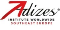 Adizes SEE