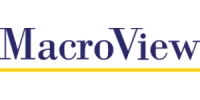 MacroView Business Technology