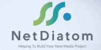 The Net Diatom Corporate Subsidiary Group