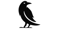 Raven Code Limited