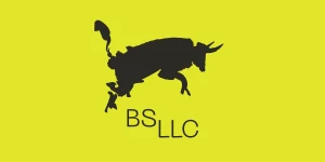 BS LLC