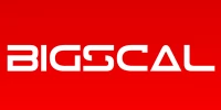 Bigscal Technologies Pvt. Ltd.