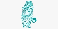 Leopard Design Studio