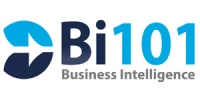 Business Intelligence 101