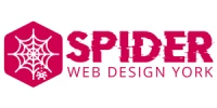 Spider Web Designs