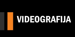Videografija