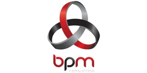 BPM Consulting