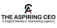 The Aspiring CEO