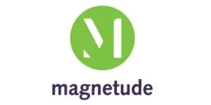 Magnetude Consulting