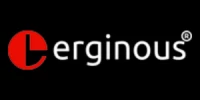 Erginous Technologies