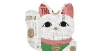 Cat Media