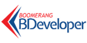 Boomerang Business BDeveloper Services