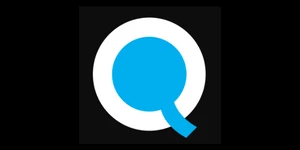 Queppelin Technology Solutions