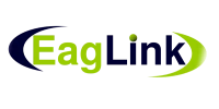 The Eaglink