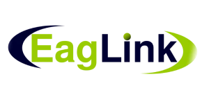 The Eaglink