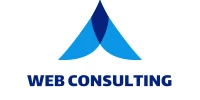 Web Consulting Agency
