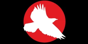 Red Hawk Technologies