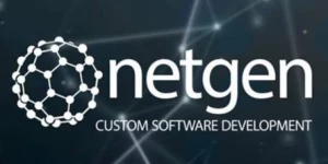 Netgen Custom Software