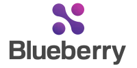 Blueberry Consultants