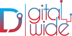 Digital Diwide