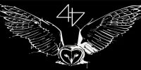 Buho 44