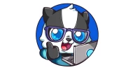 Code Badgers