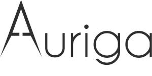 Auriga IT