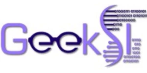 GeekSI