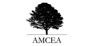Amcea Consulting