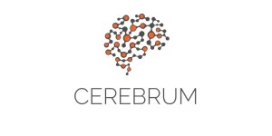 Cerebrum