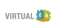 Virtual Enterprise Architects