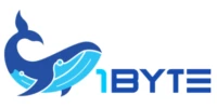 1Byte
