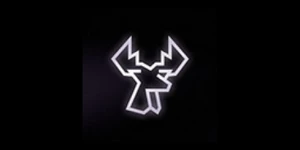 Cerbo | Branding & Digital Studio