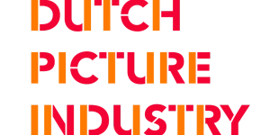 DUTCH PICTURE INDUSTRY