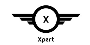 Xpert SEO Team