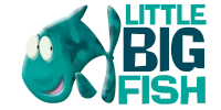 Little Big Fish Films