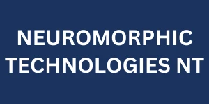 Neuromorphic Technologies