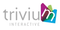 Trivium Interactive