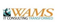 WAMS Inc