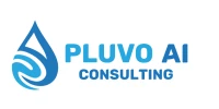 Pluvo AI Consulting