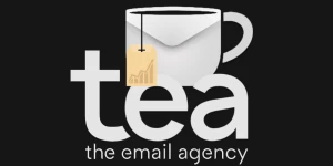 The Email Agency