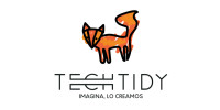 TechTidy