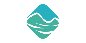 VI Media