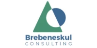 Brebeneskul Consulting
