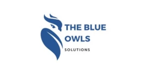 The Blue Owls